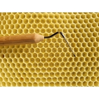 Profesionální nerezová přelarvovací lžička (0,5 mm) – Pro leváky