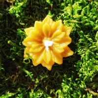 Květina plovoucí ,malá 1 ks