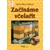 Začínáme včelařit